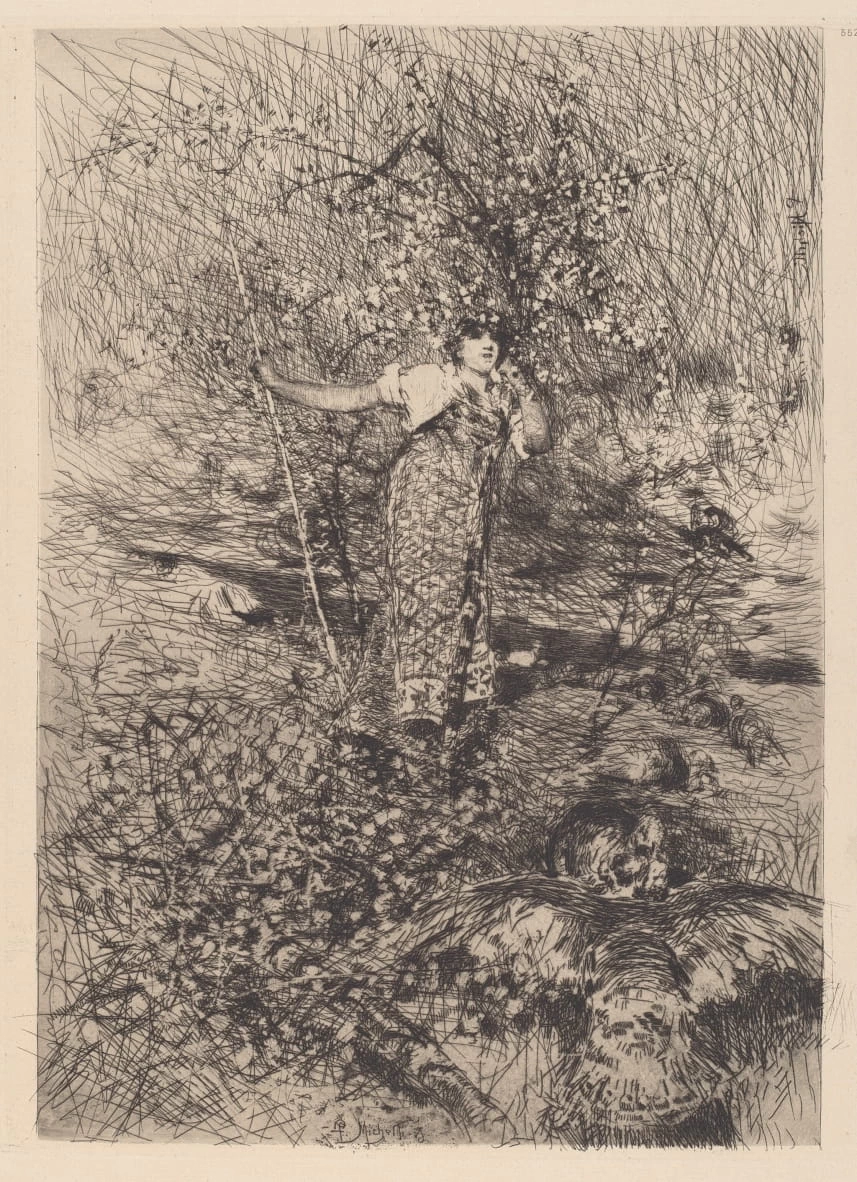 Francesco Paolo Michetti - Custode di tacchini, Pepita Milmore Memorial Fund, National Gallery of Art